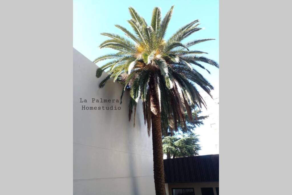La Palmera Homestudio. Hermoso Apartamento En El Corazon De Palermo Hollywood Буэнос-Айрес Экстерьер фото